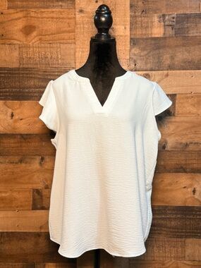 NEW NWOT Women's Light Blue Adrianna Papell Short Sleeve Blouse Ruffled Large L